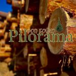 Пиломатериалы от лесопереработчика+дрова сосновые